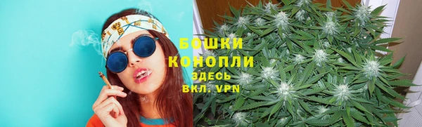 spice Богородск