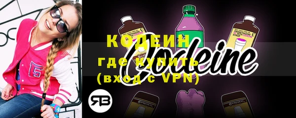 spice Богородск