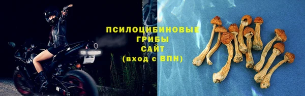 jwh Бородино