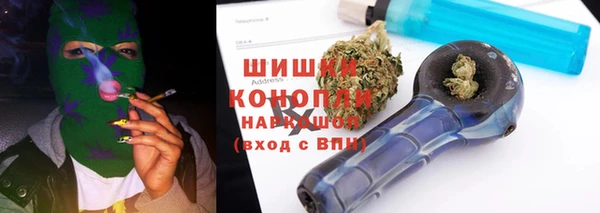 spice Богородск