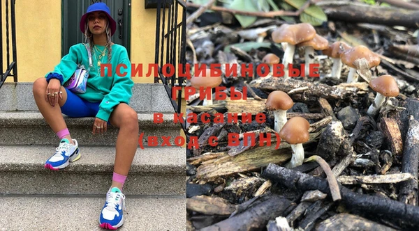 эйфоретик Богородицк