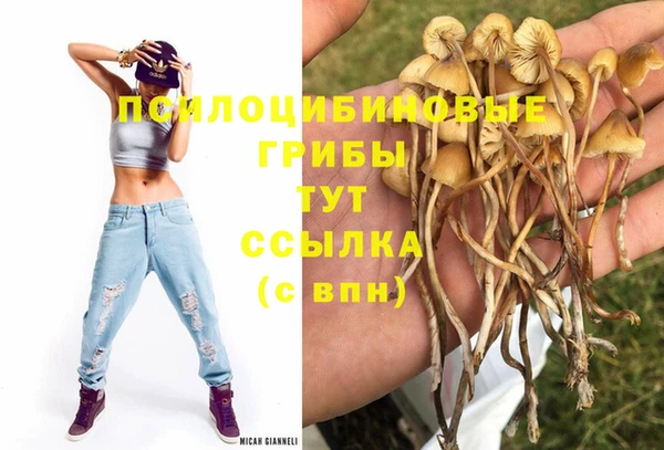 наркотики Богданович