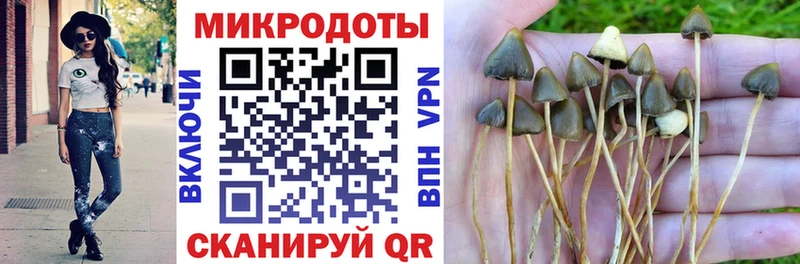 Галлюциногенные грибы Cubensis  Купить где  Тайшет 